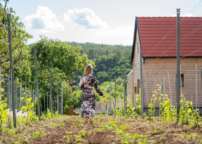 Wowcabin - シャレー Lovas